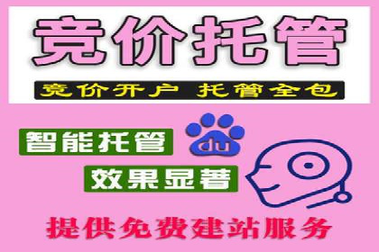 SEM广告投放中的创意策略成功案例